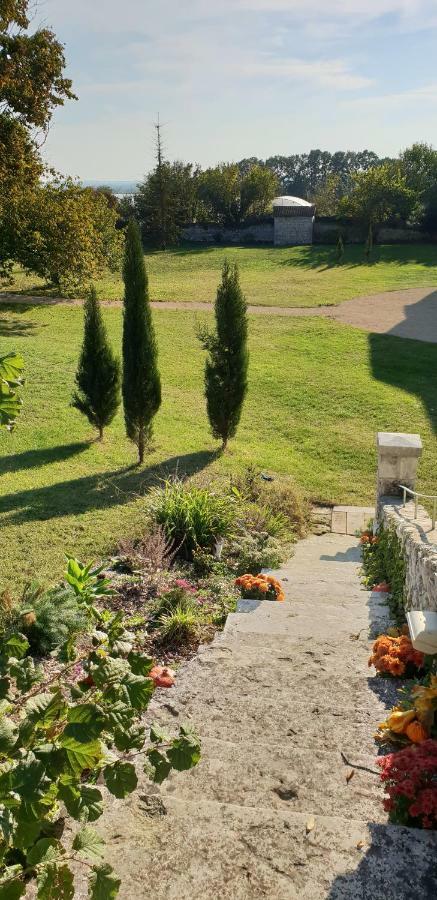 Domaine De Bourgville Monts-sur-Guesnes Экстерьер фото