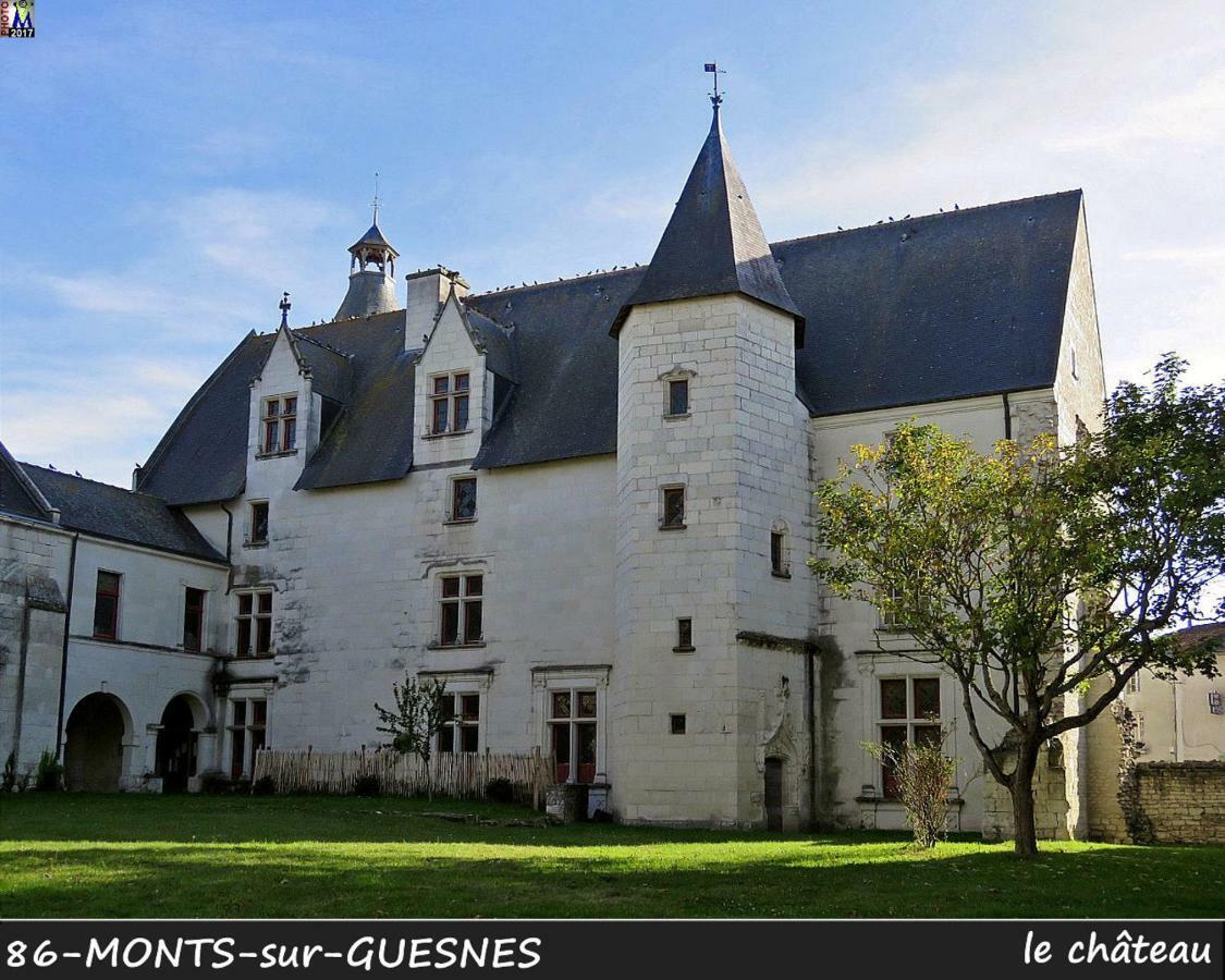 Domaine De Bourgville Monts-sur-Guesnes Экстерьер фото